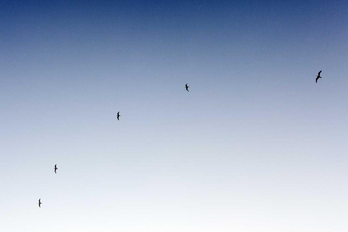 50b4c317-34a4-3070-82de-62802b9cf4b7